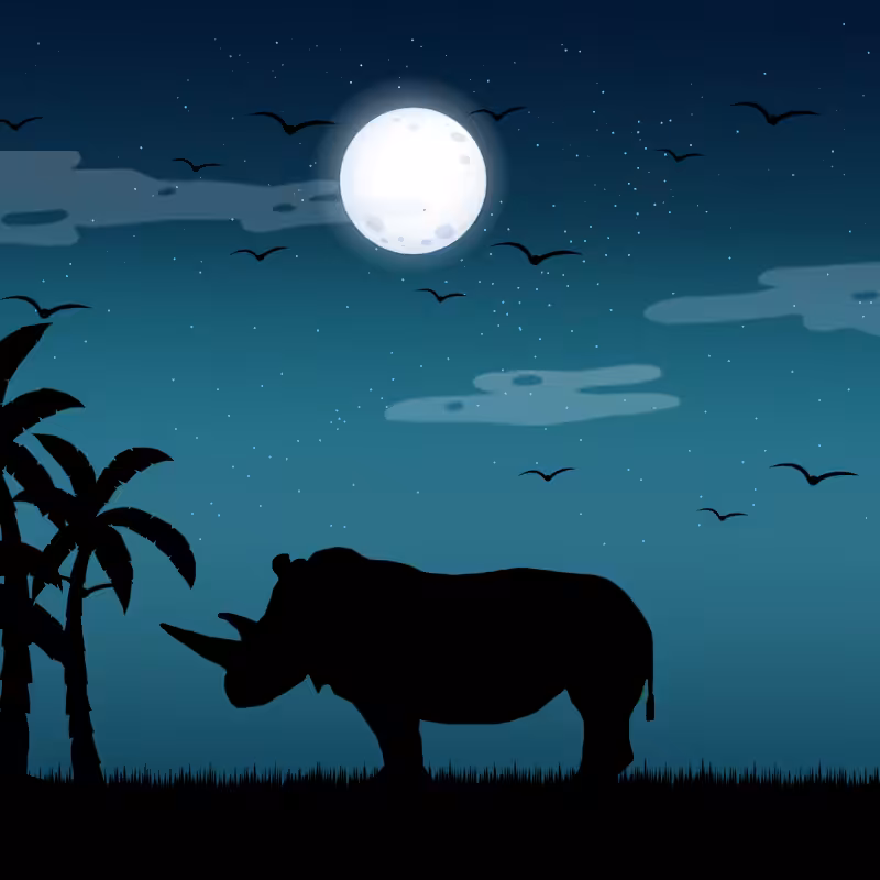 We Care...Rhinoceros #6