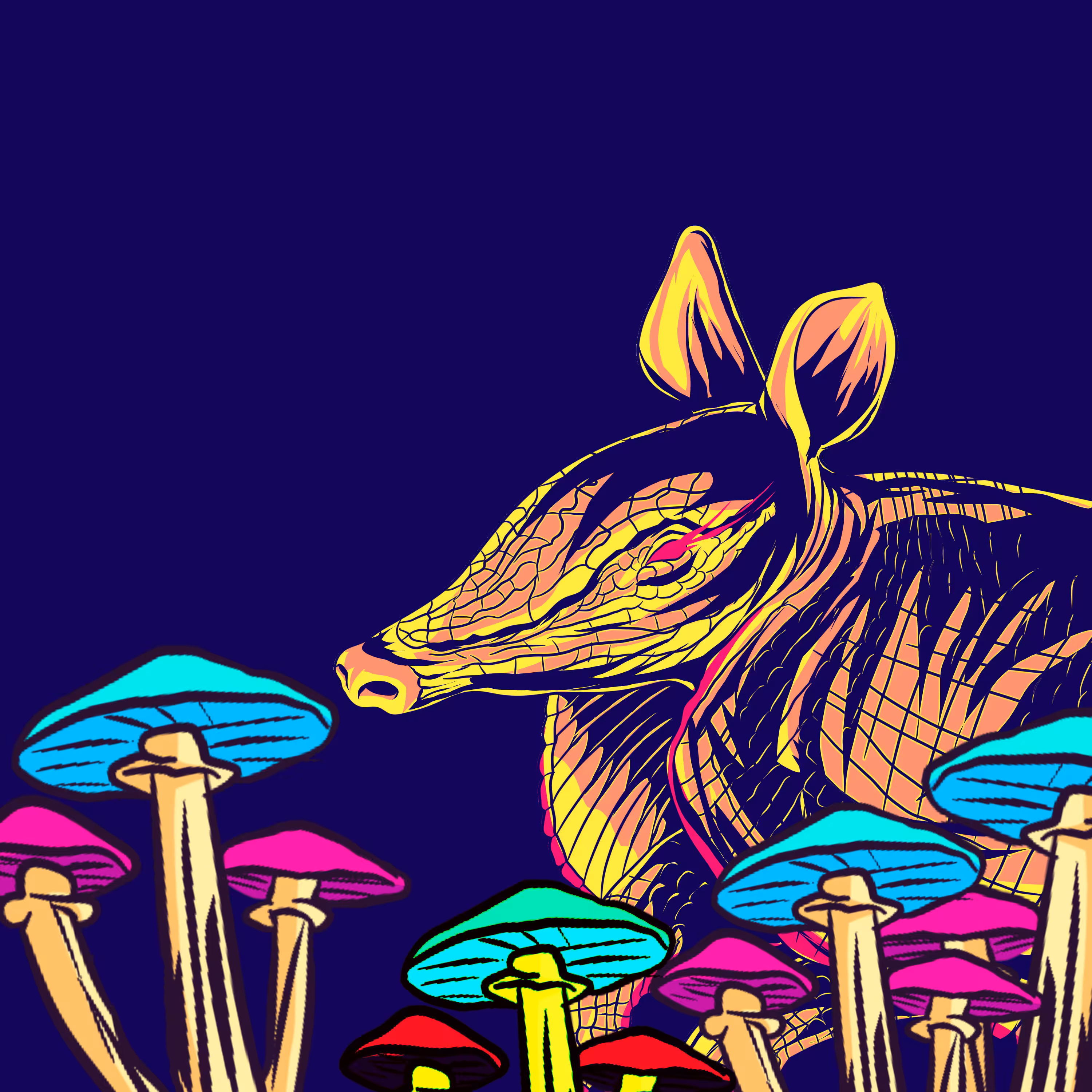 #19 Armadillo