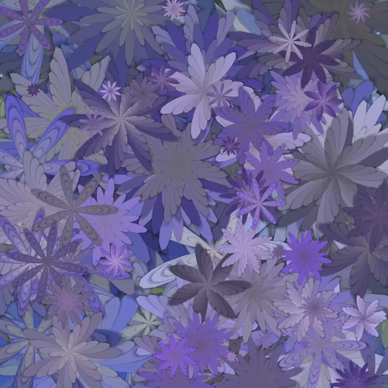 Flowerfield.  #7