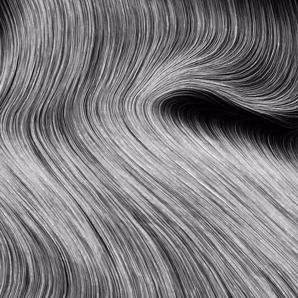 digital black hole #1