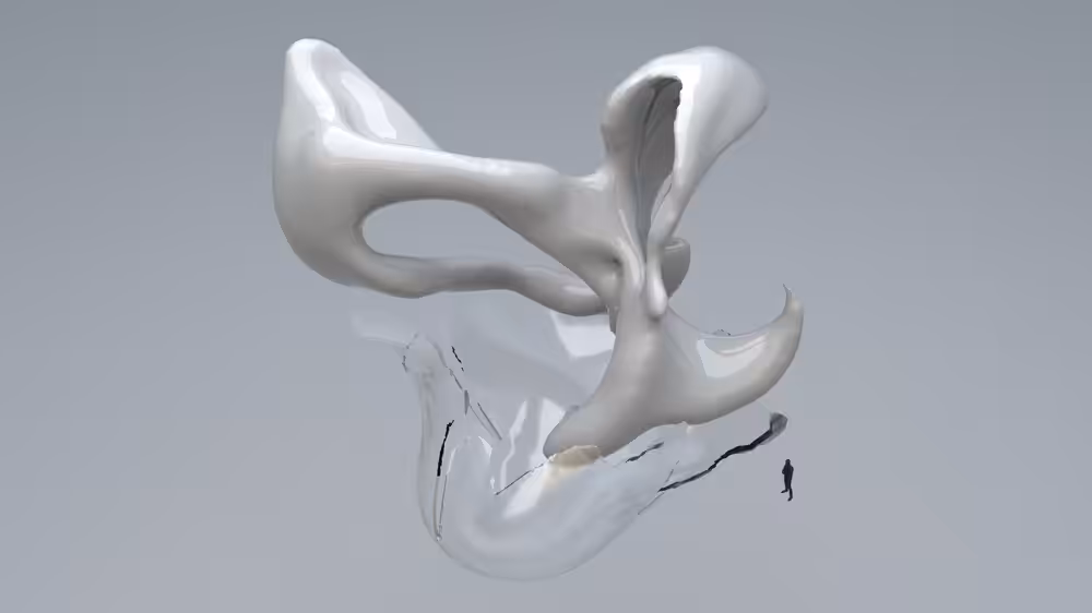 The System: Coalescence
