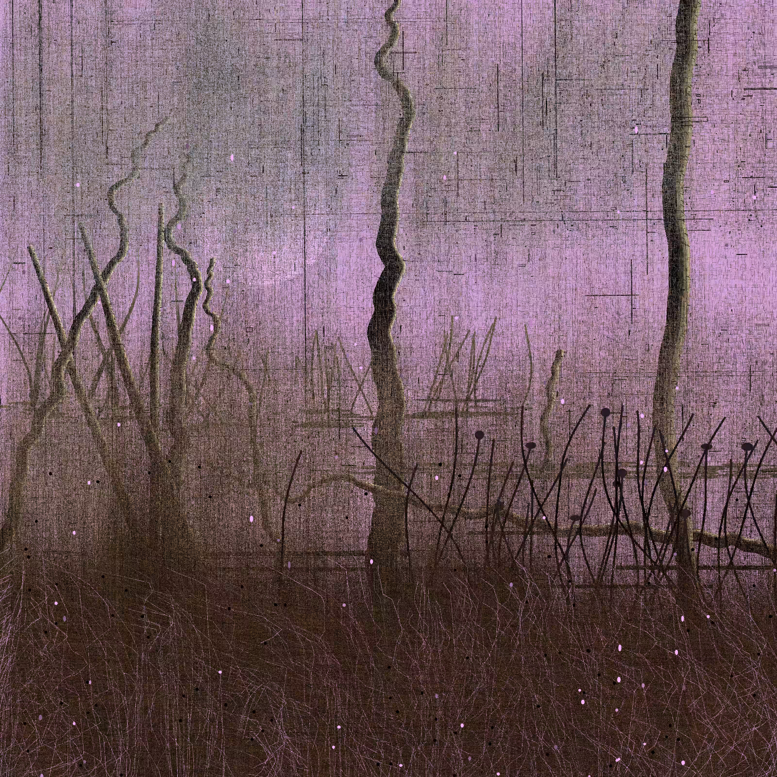 Daydream #20