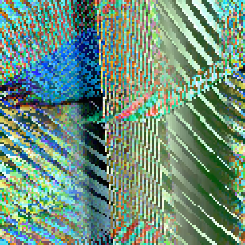 Grid, Rules and Cells #184