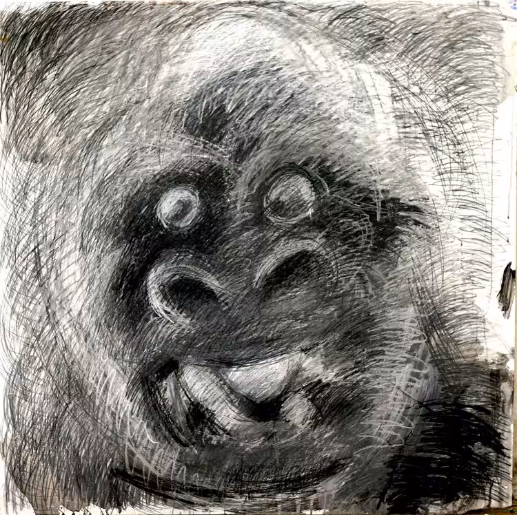 Gorilla