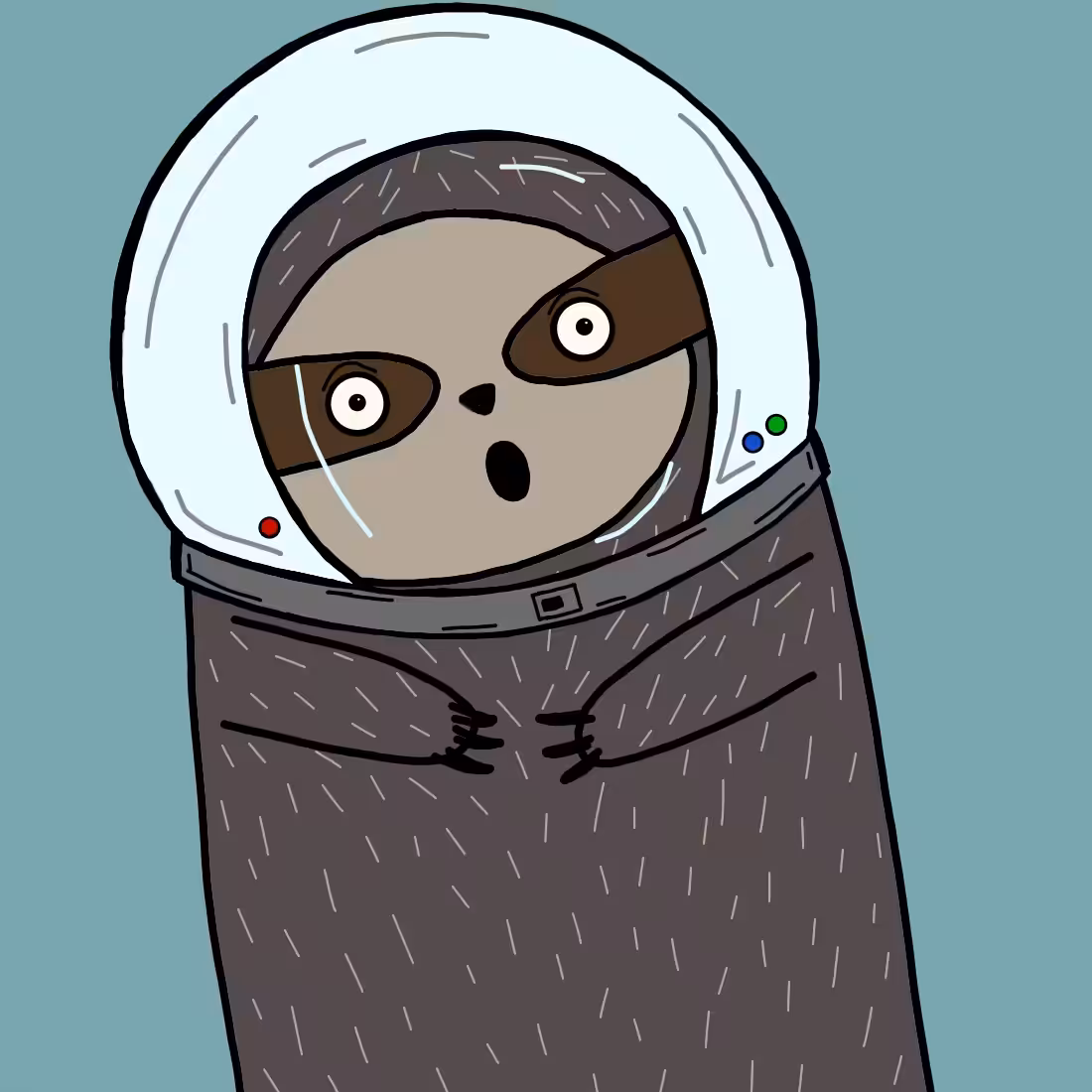 Space Sloth 