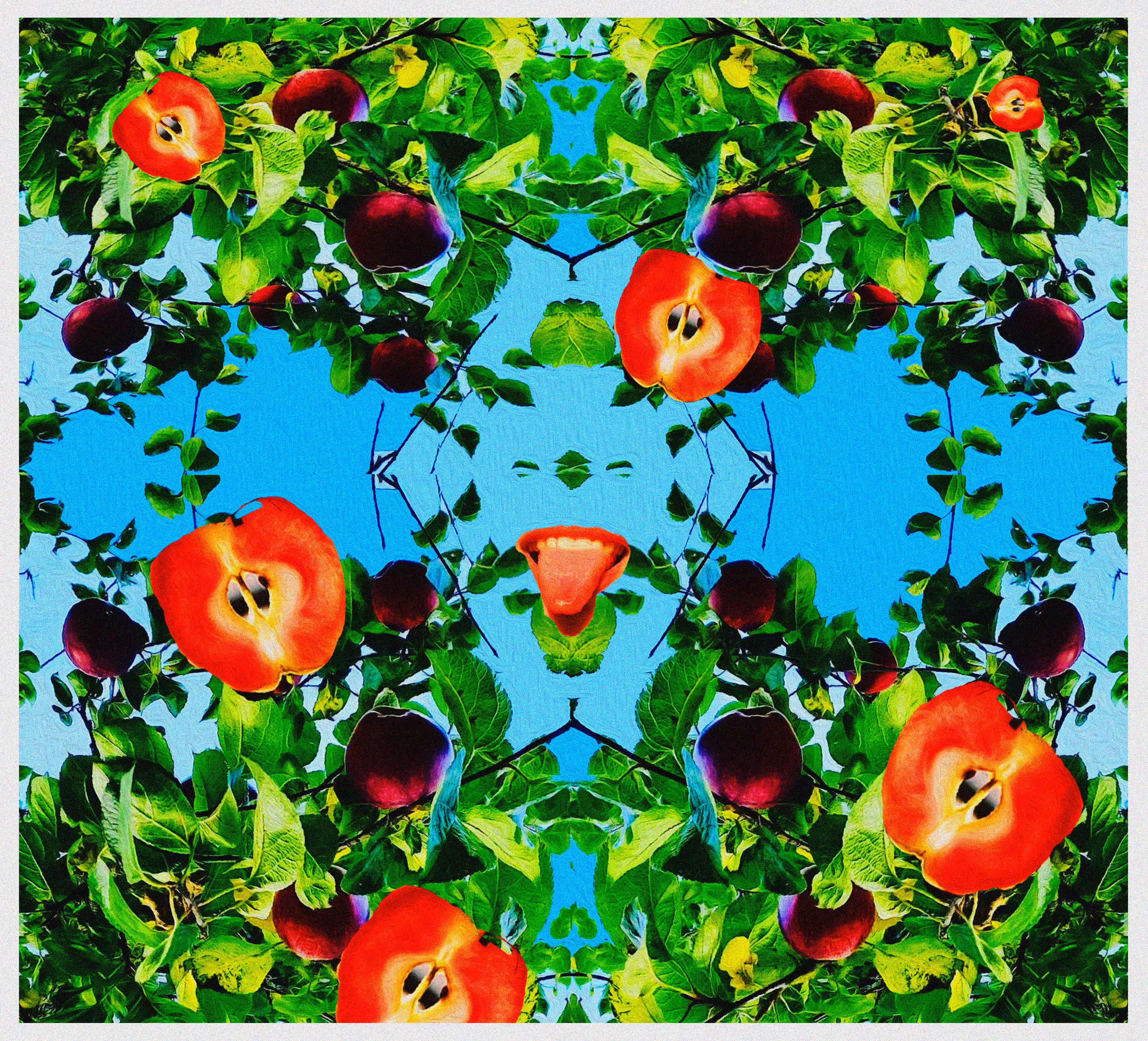 Looking Up: Happy Appley