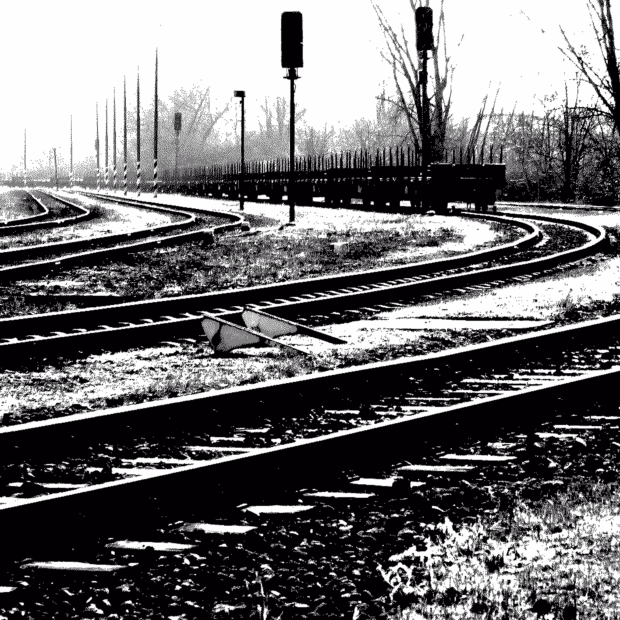 following the tracks