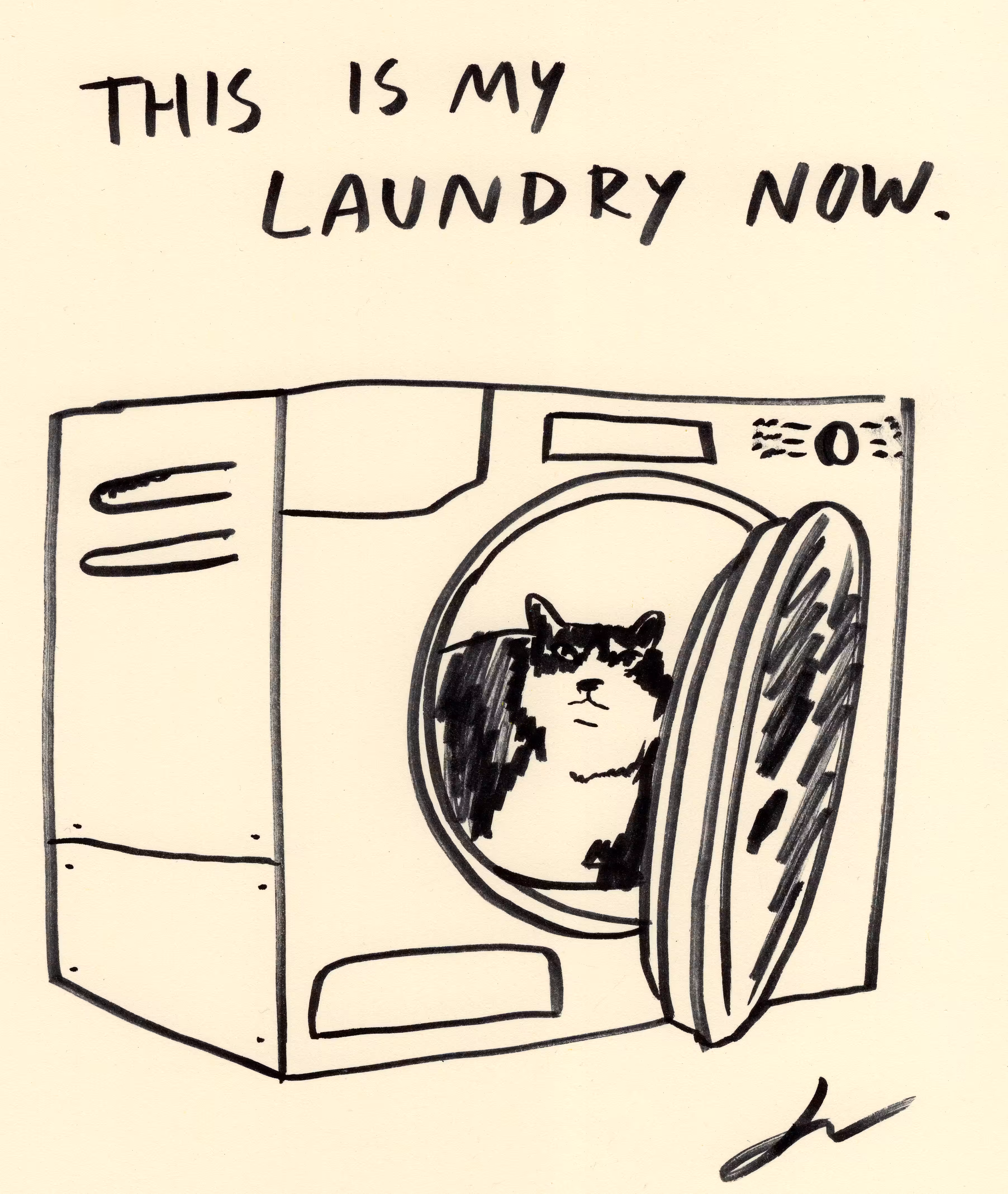 Laundry Cat