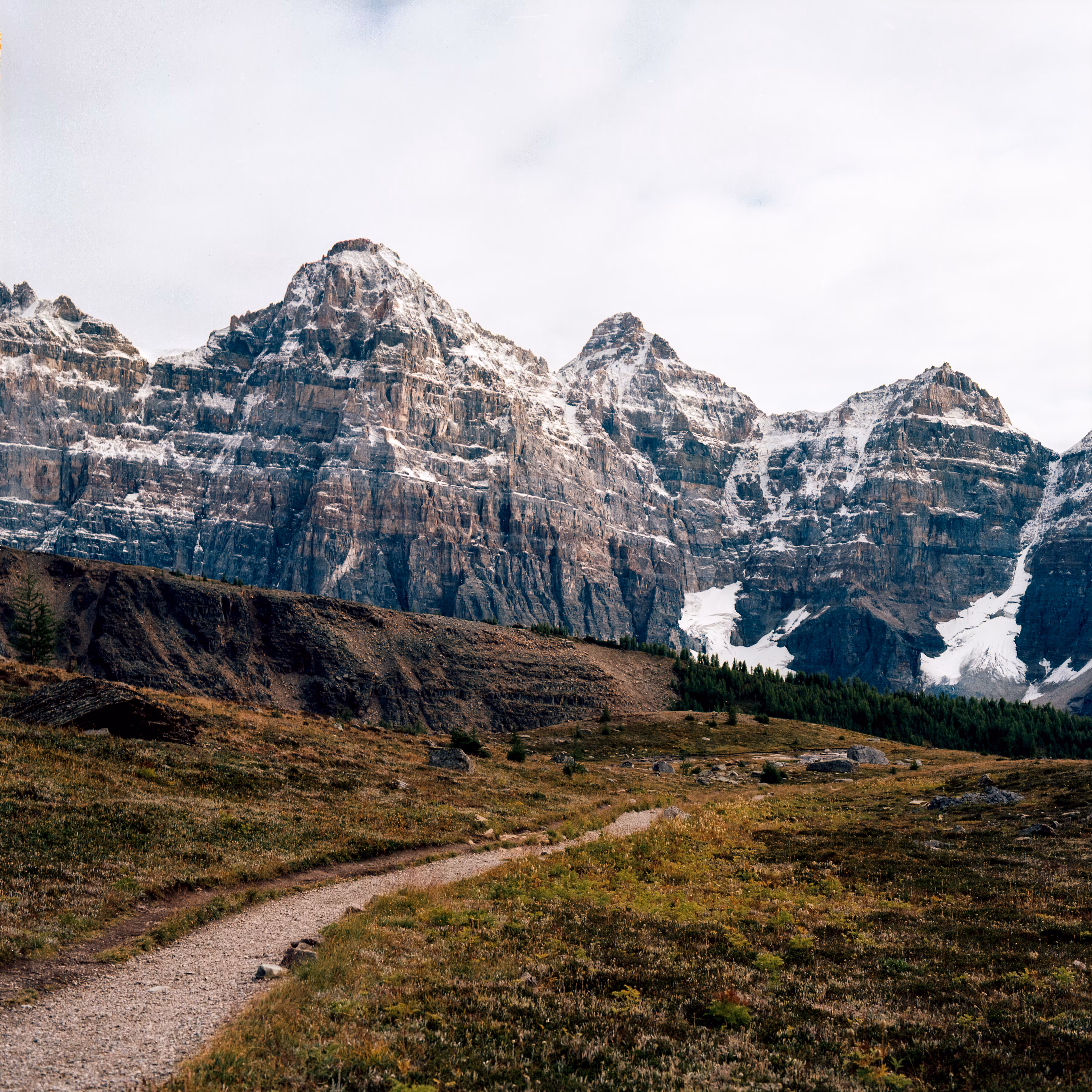 The Path