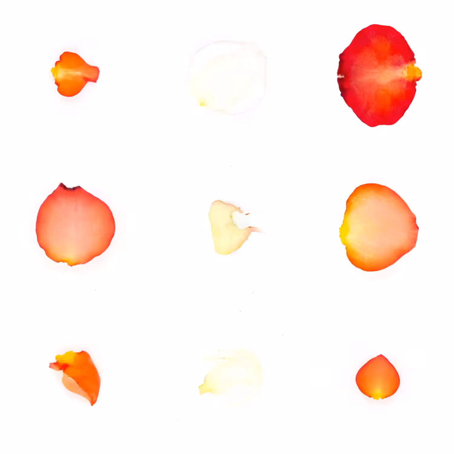 Infinite Petals 3x3#3164