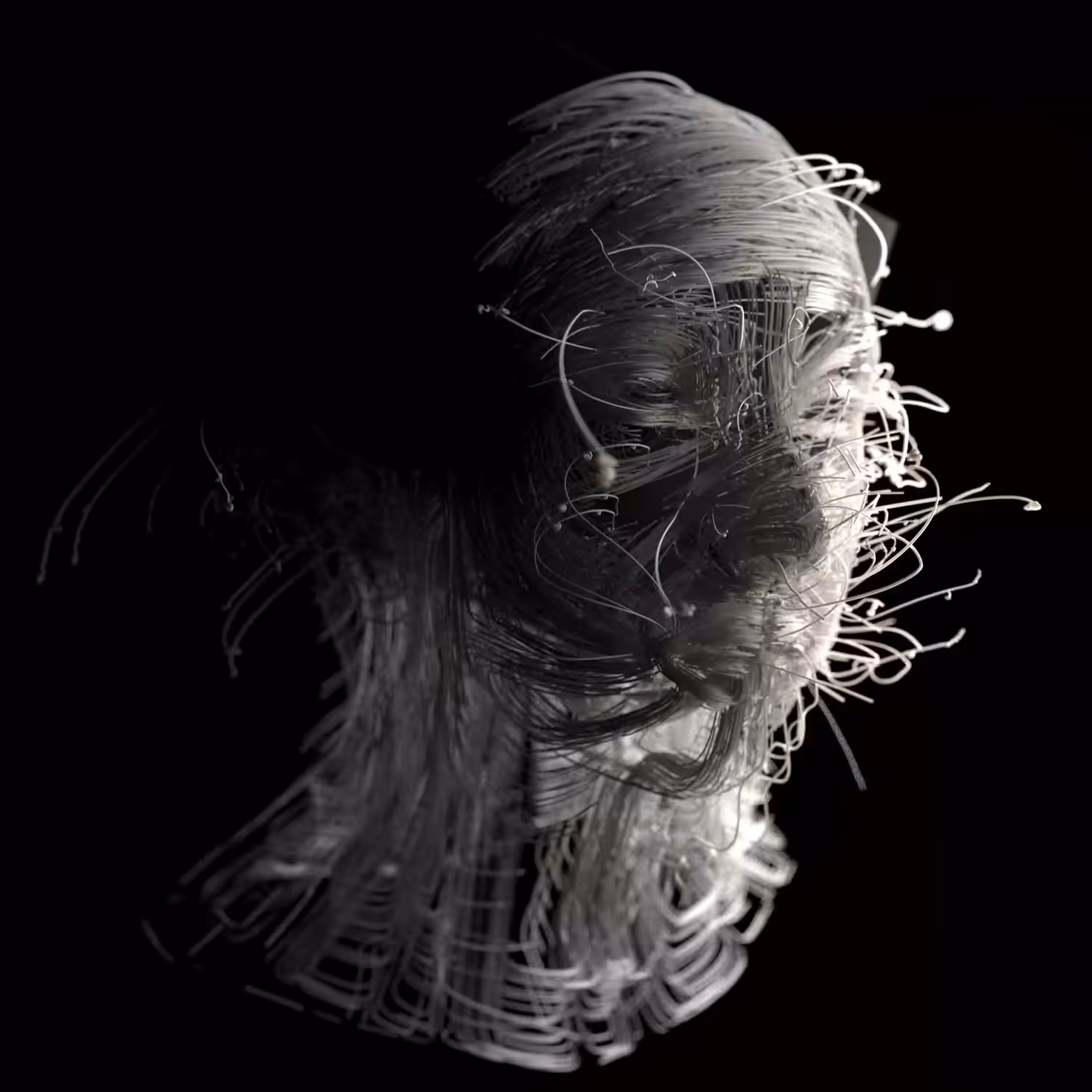 Spaghetti Woman