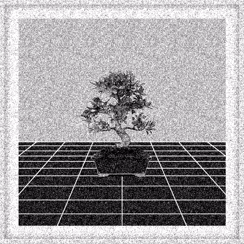 Bonsai Bonanza #56