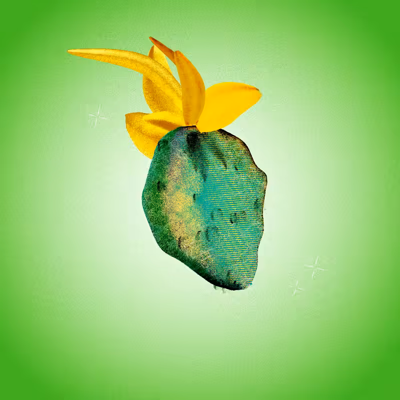 Fresh Fruit #49