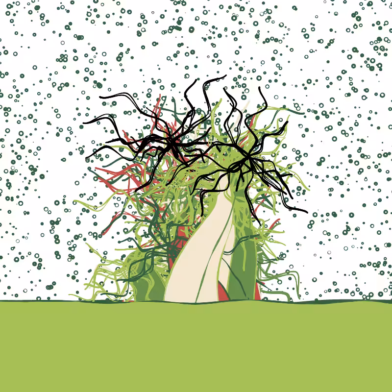 The Good Corals #131