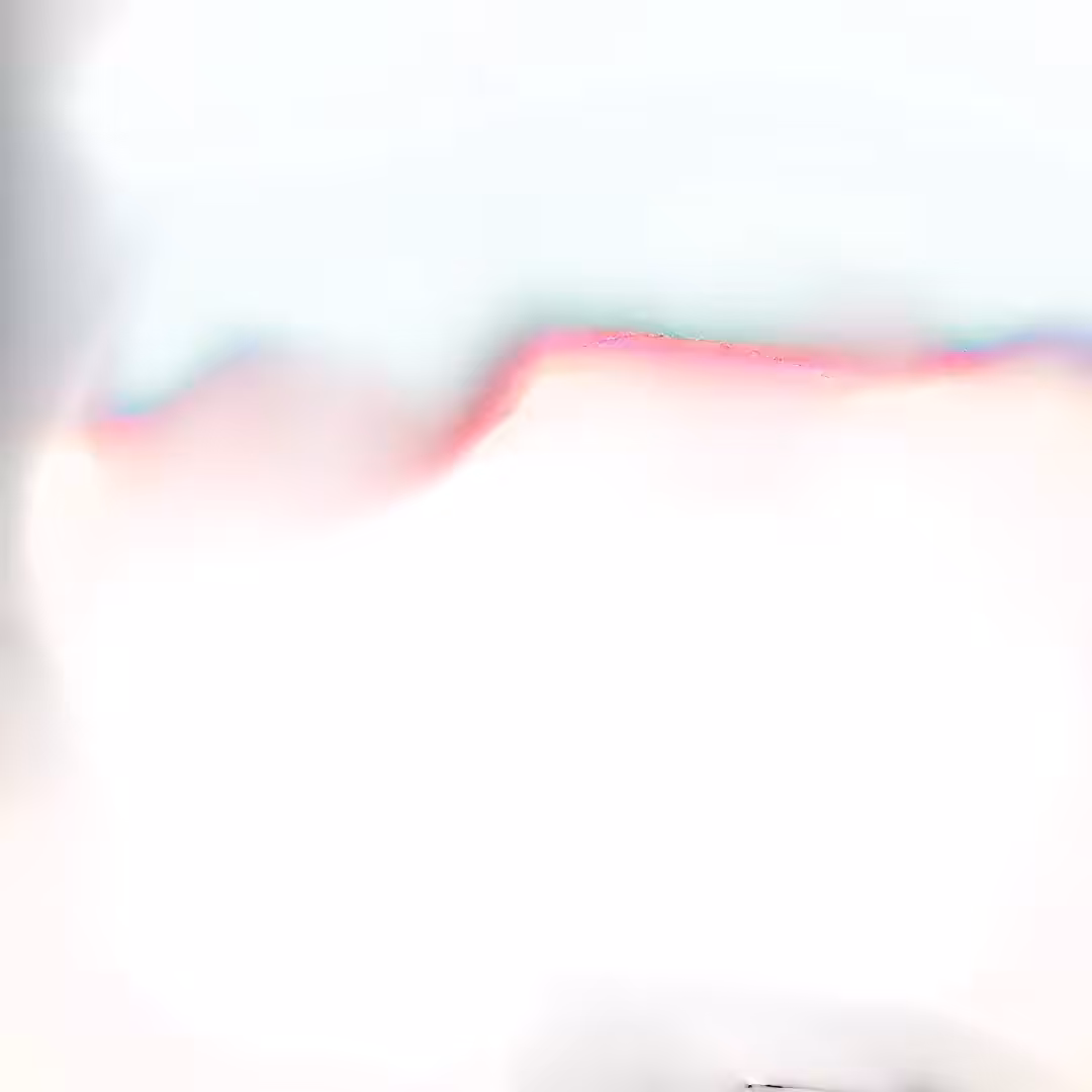 neural #2: inital Edition