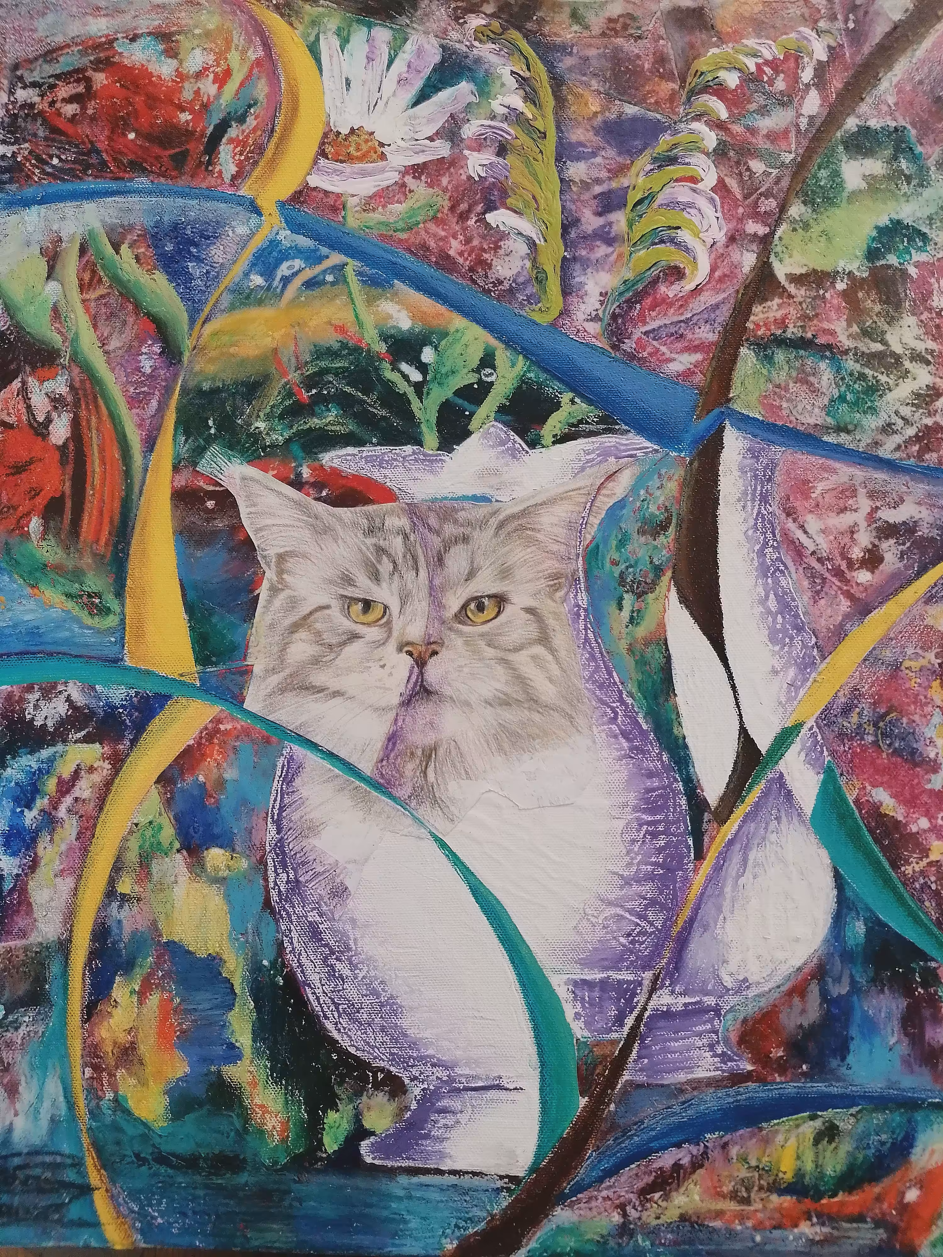 Crazy Cat 