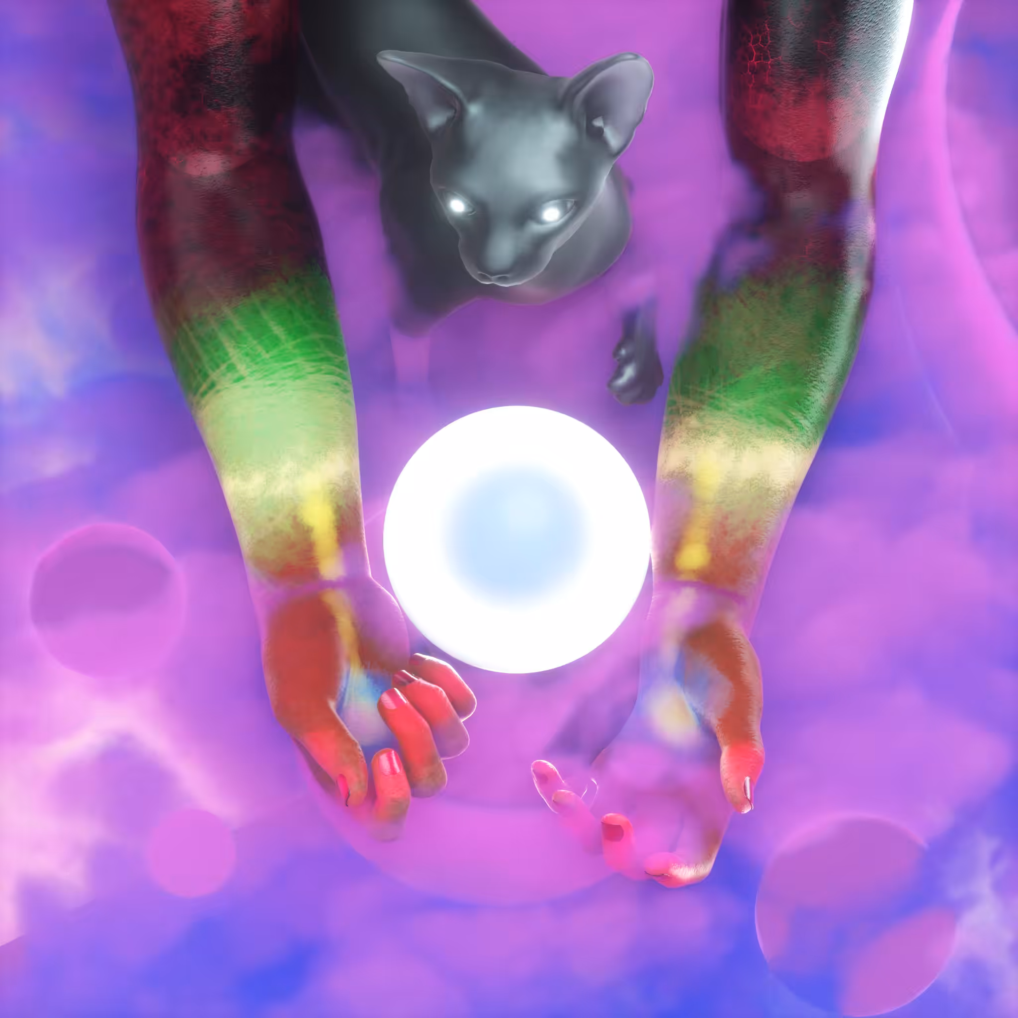 PURIFICATION 🐈‍