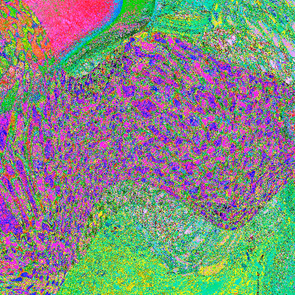 Einstein-Rosen Memories #61