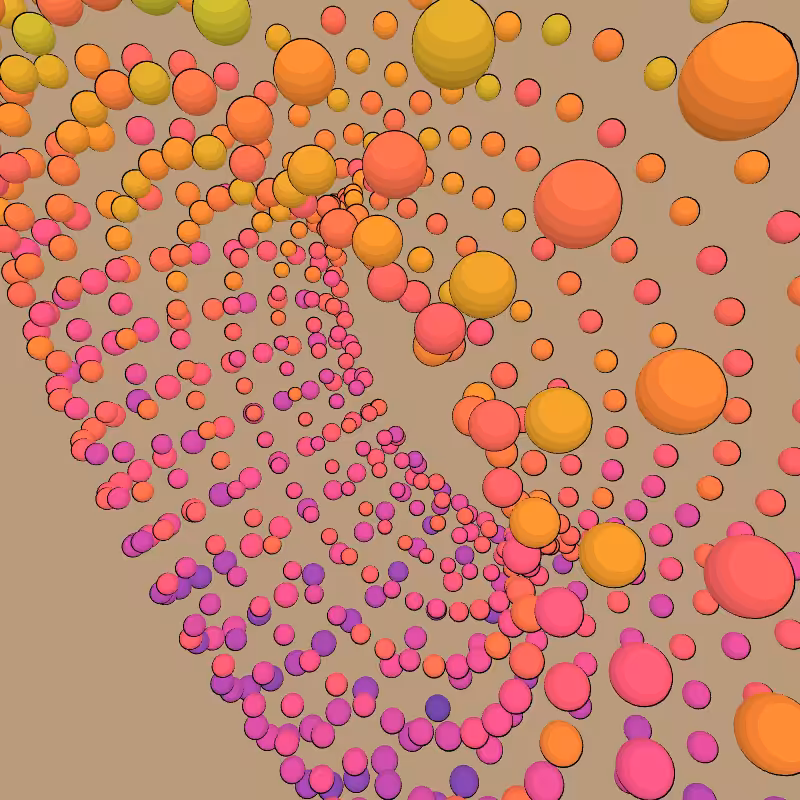 Donuts #247