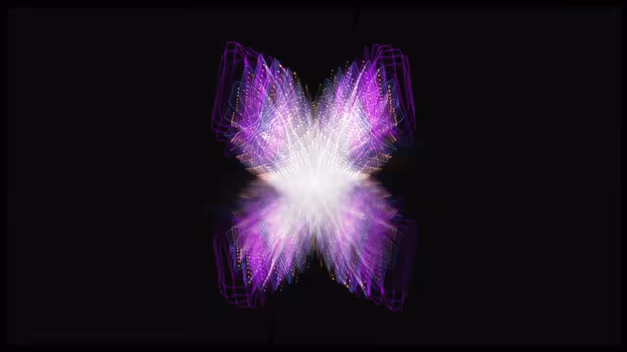 The X File
