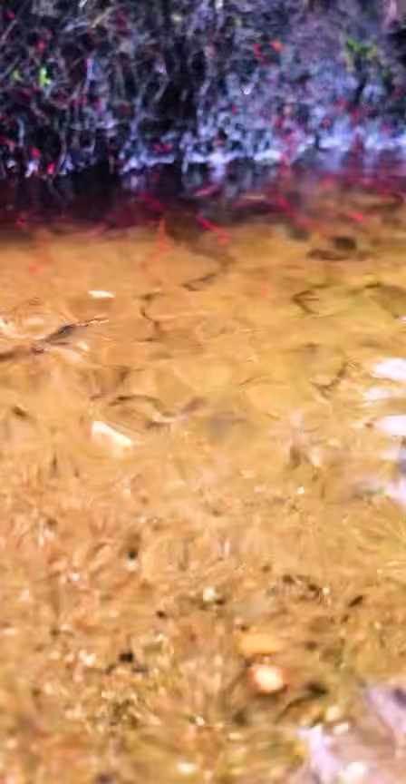Floating Utopia Act 1 Video Reconstruction #1 