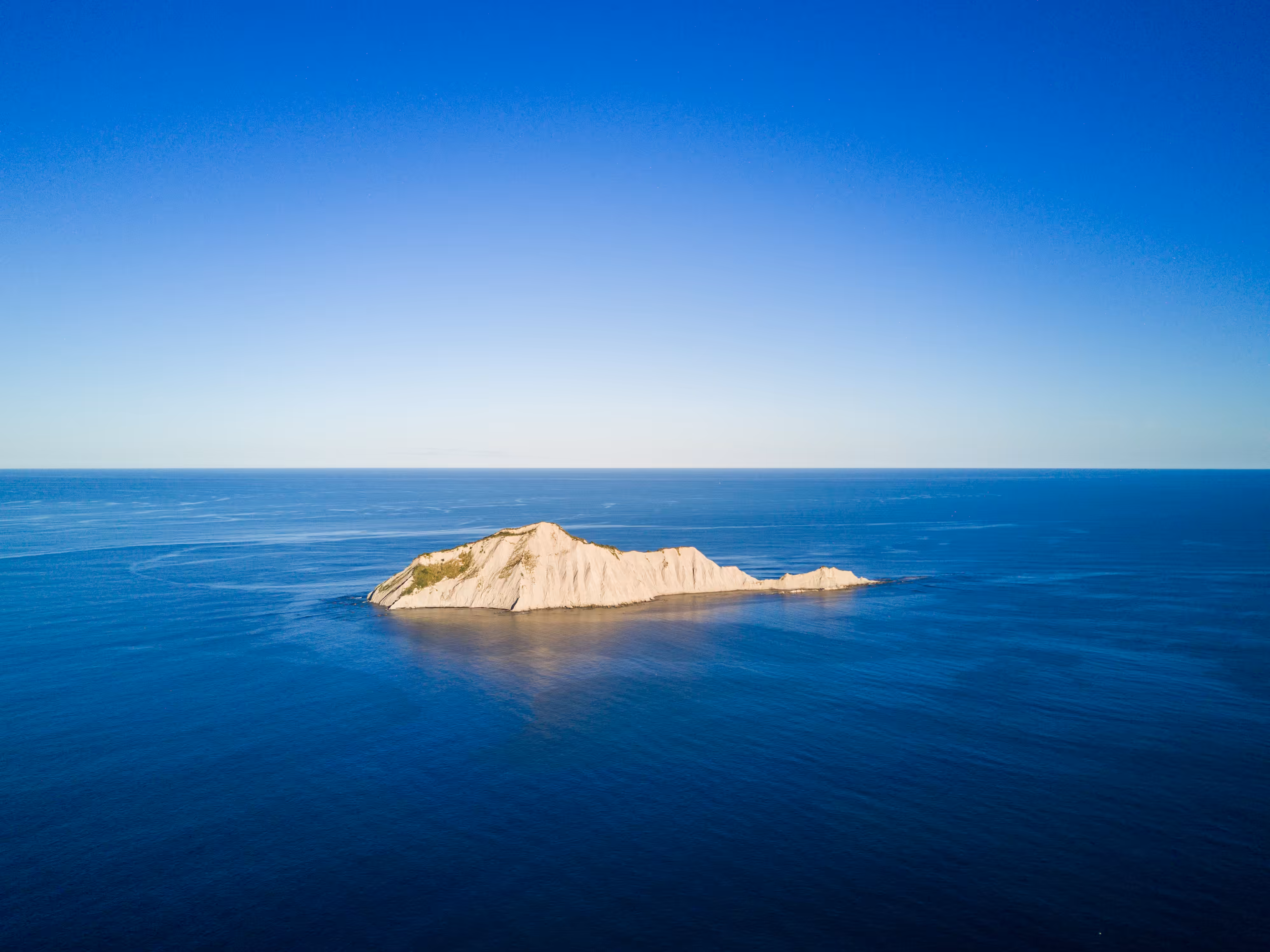 The Cove