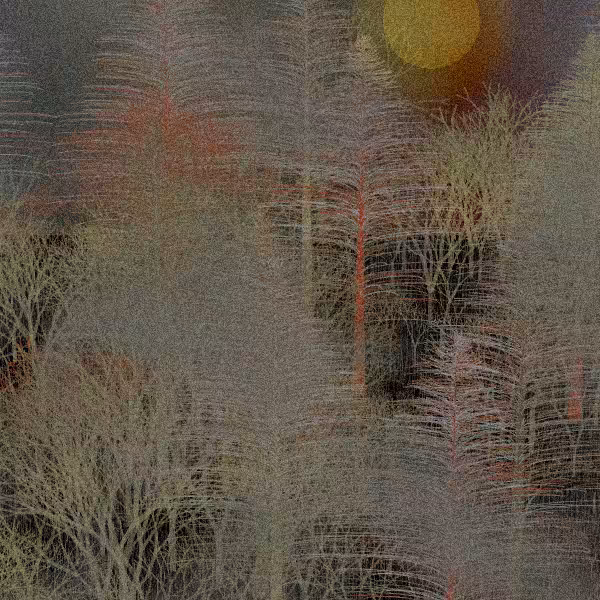Moonlit Native Bush #114