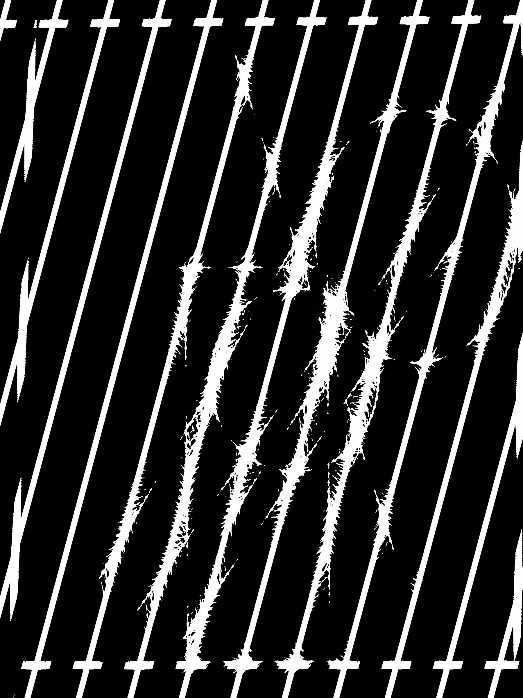 GAT_2_VEIX3_0