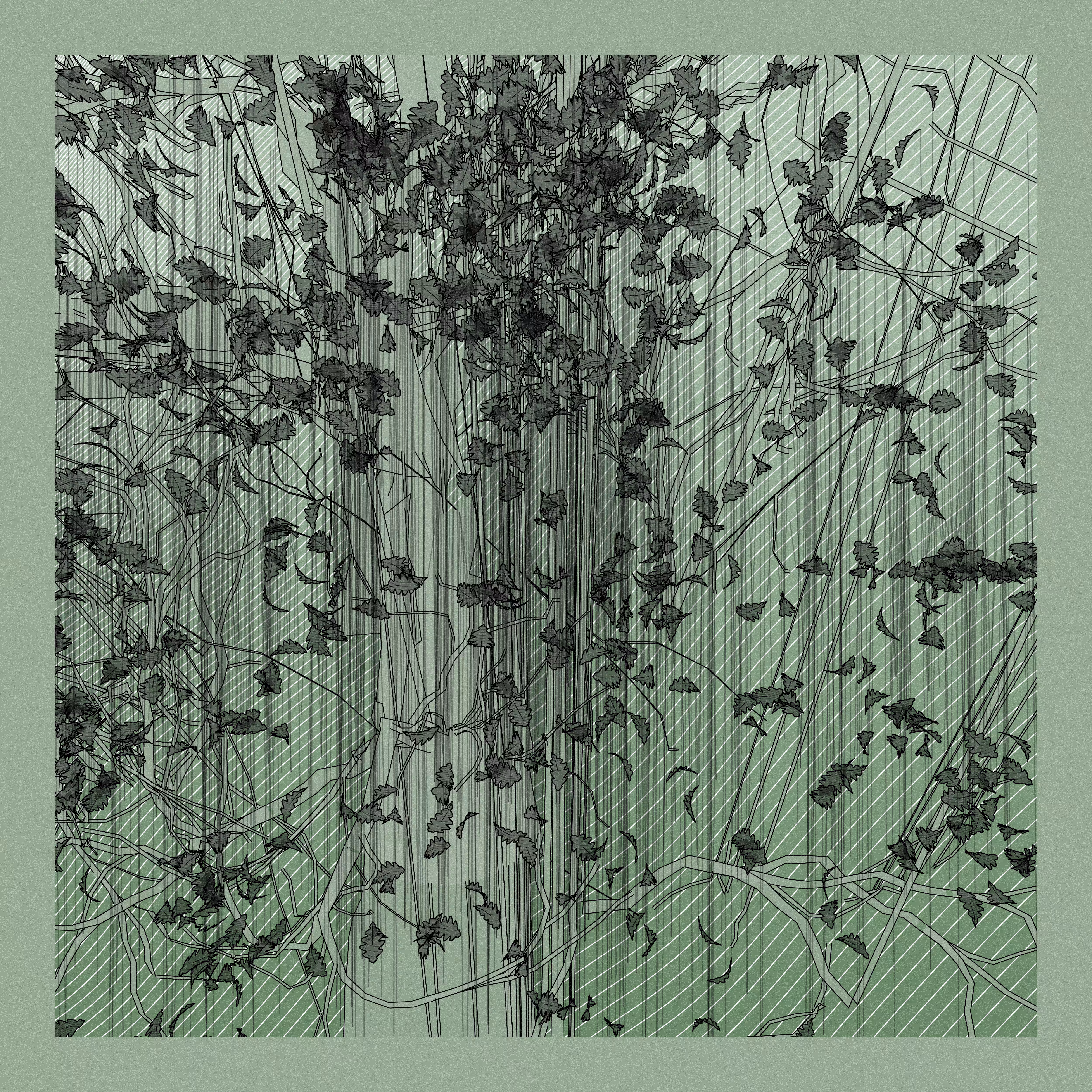 A Bugged Forest #571