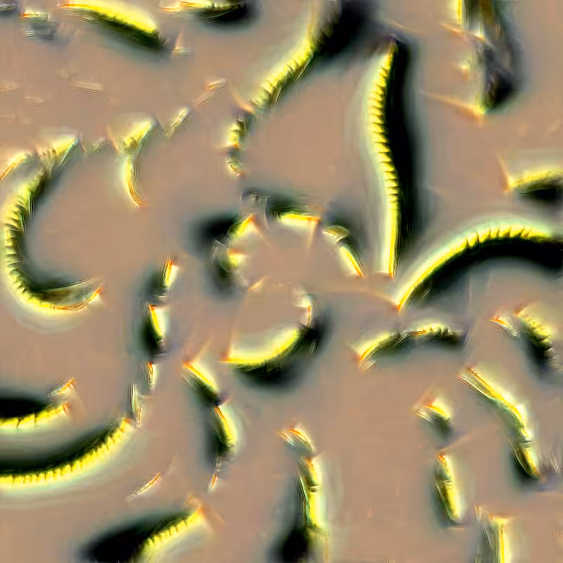 Genomes #2342