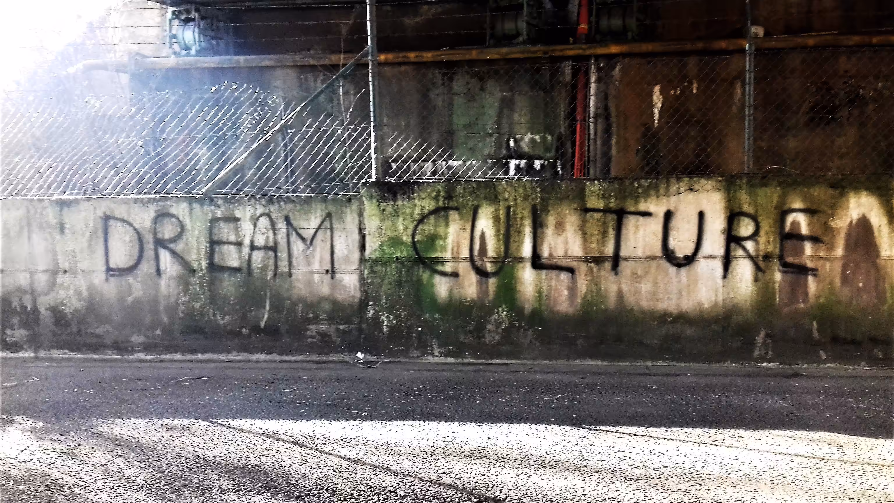 Dream Culture