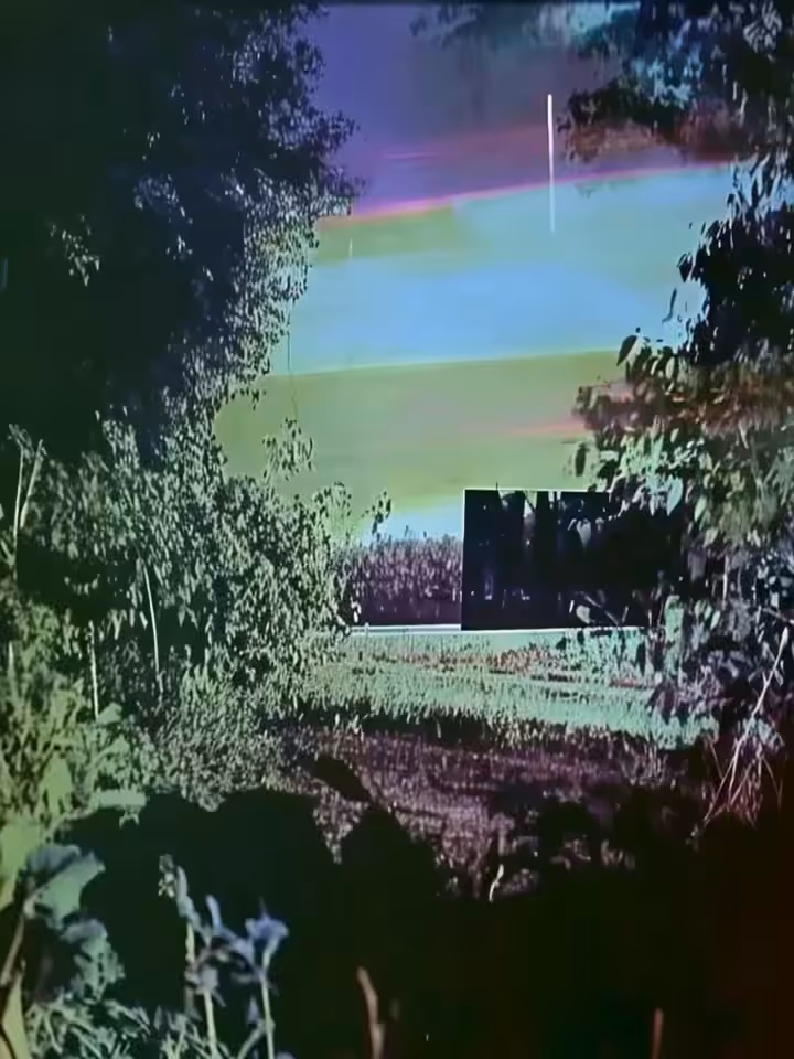 the static whispers secrets