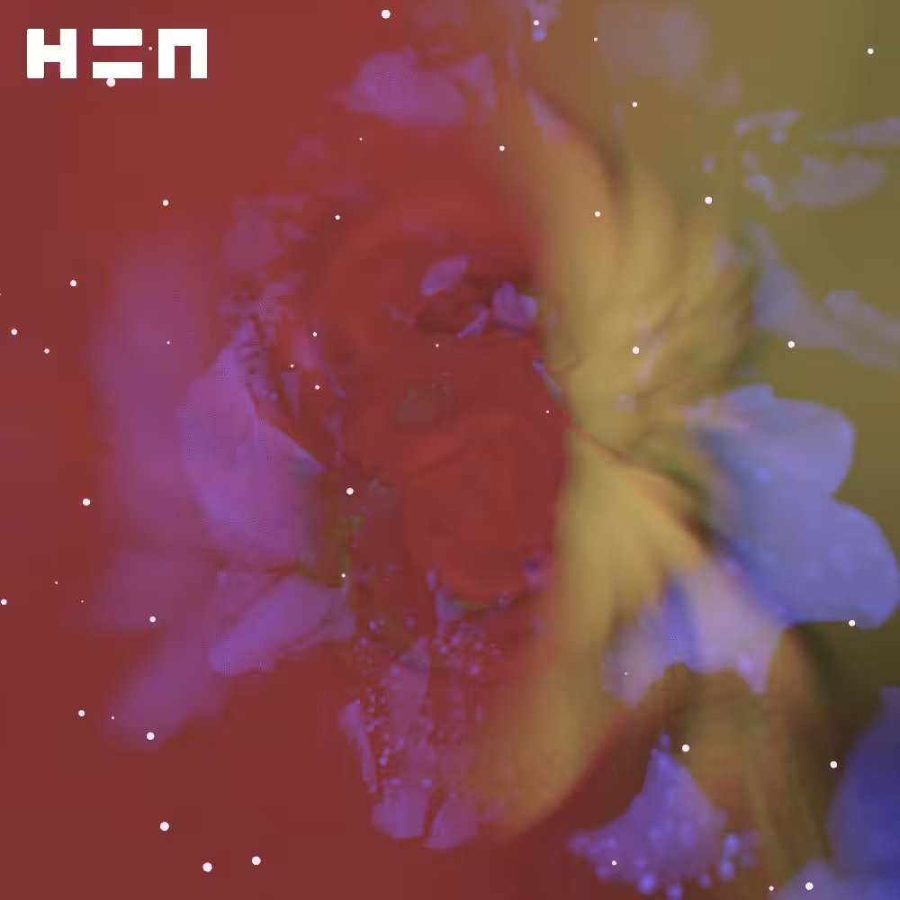 BLOOMING COMMUNITY - HEN 500K SPECIAL