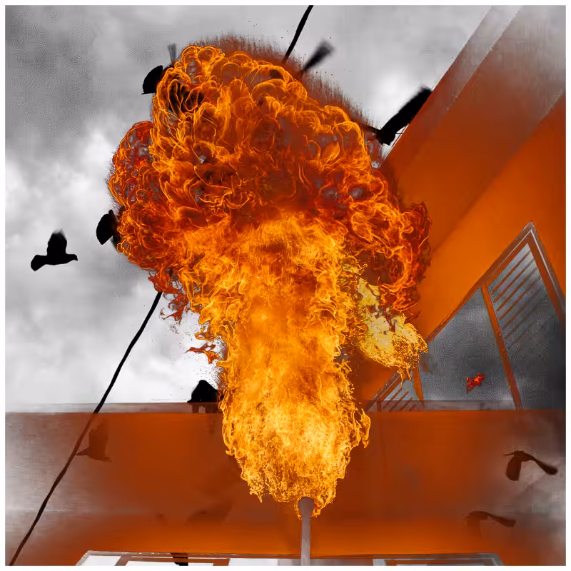 Free to burn #25