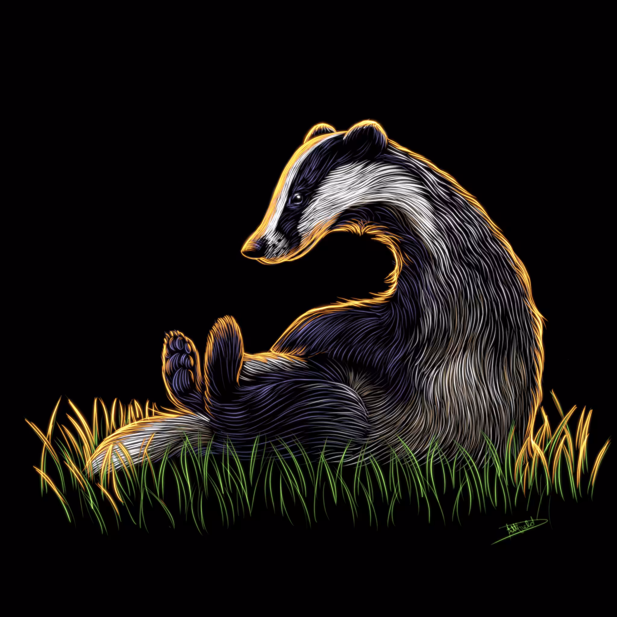 Nature Studies: Badger