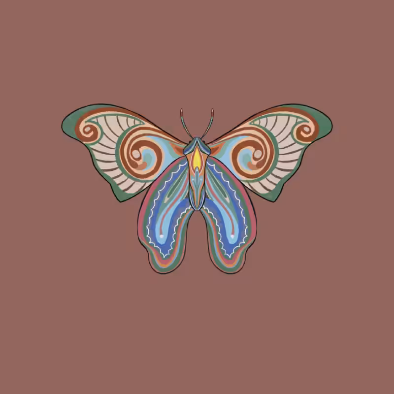 The Moth Experiment 2.0 P1 #20