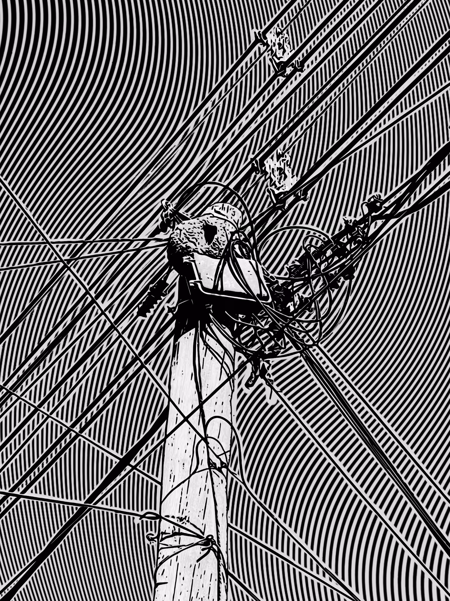 Cables V13