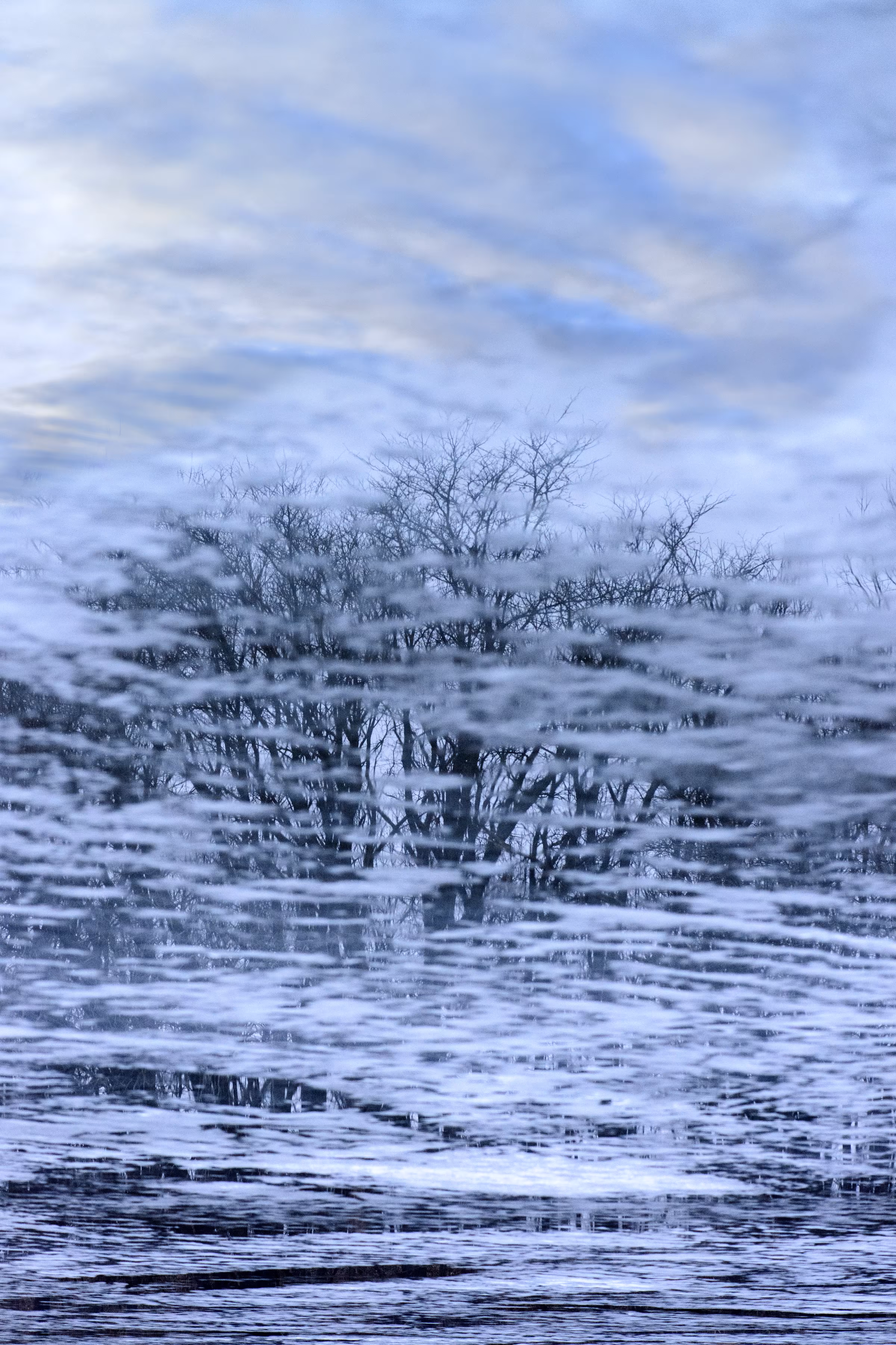 Exposed Reflections
