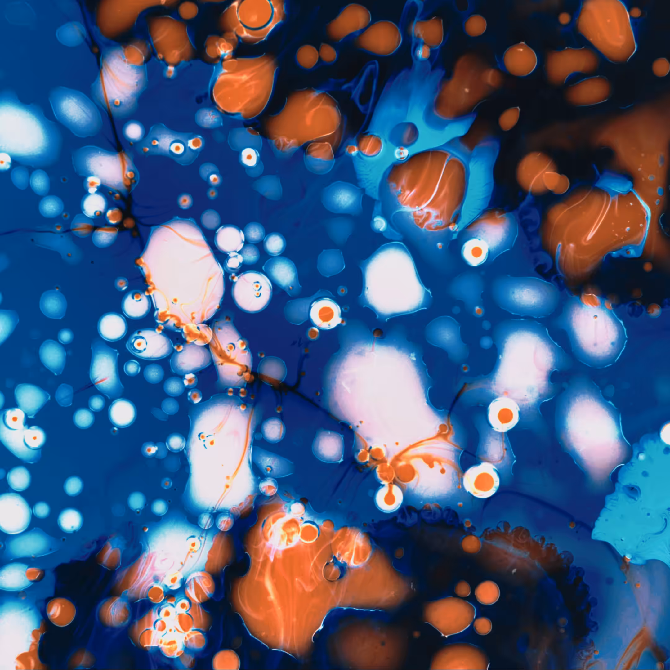 Liquid_Light_Still_Serie_14