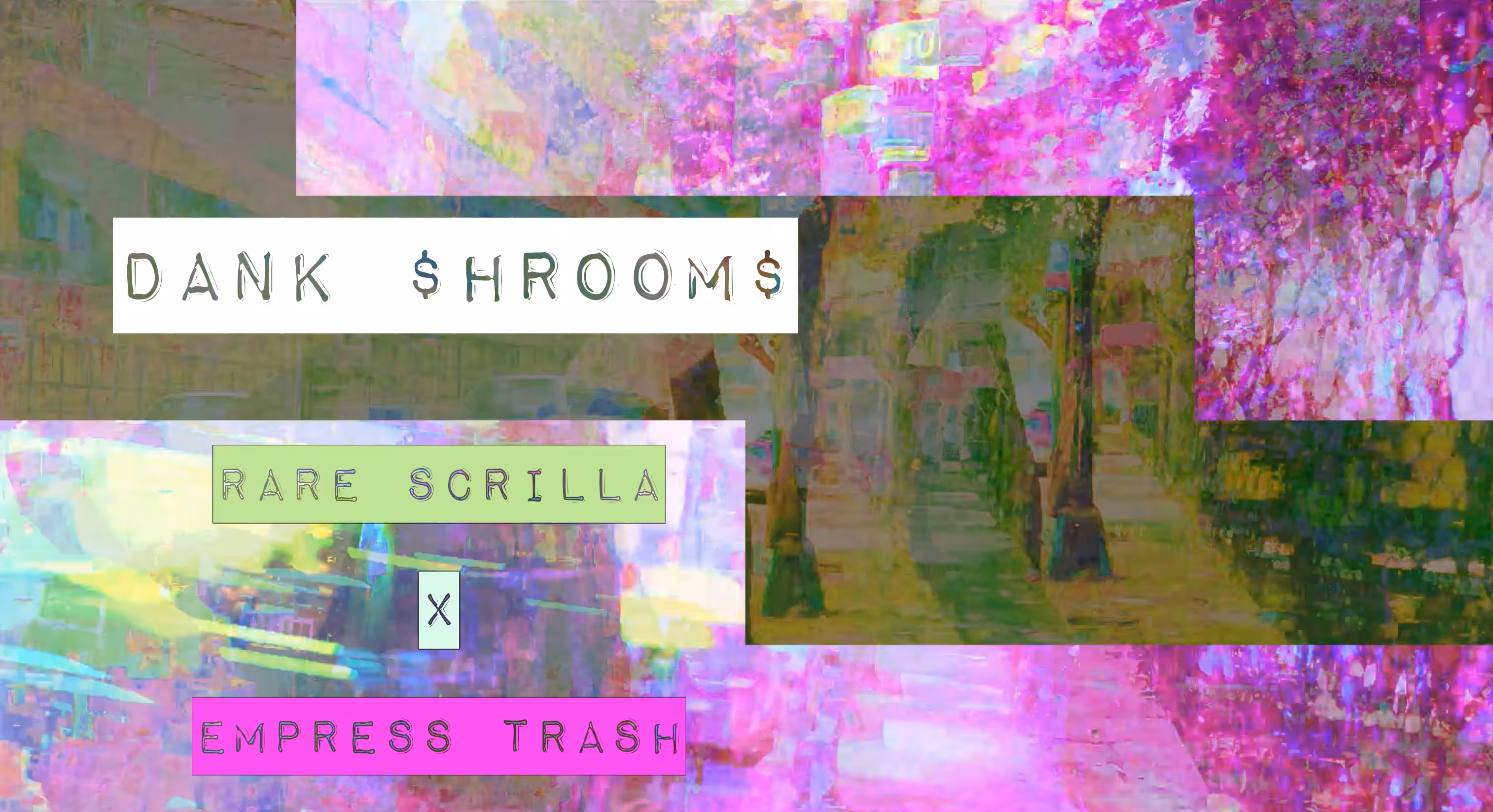 DANK $HROOM$