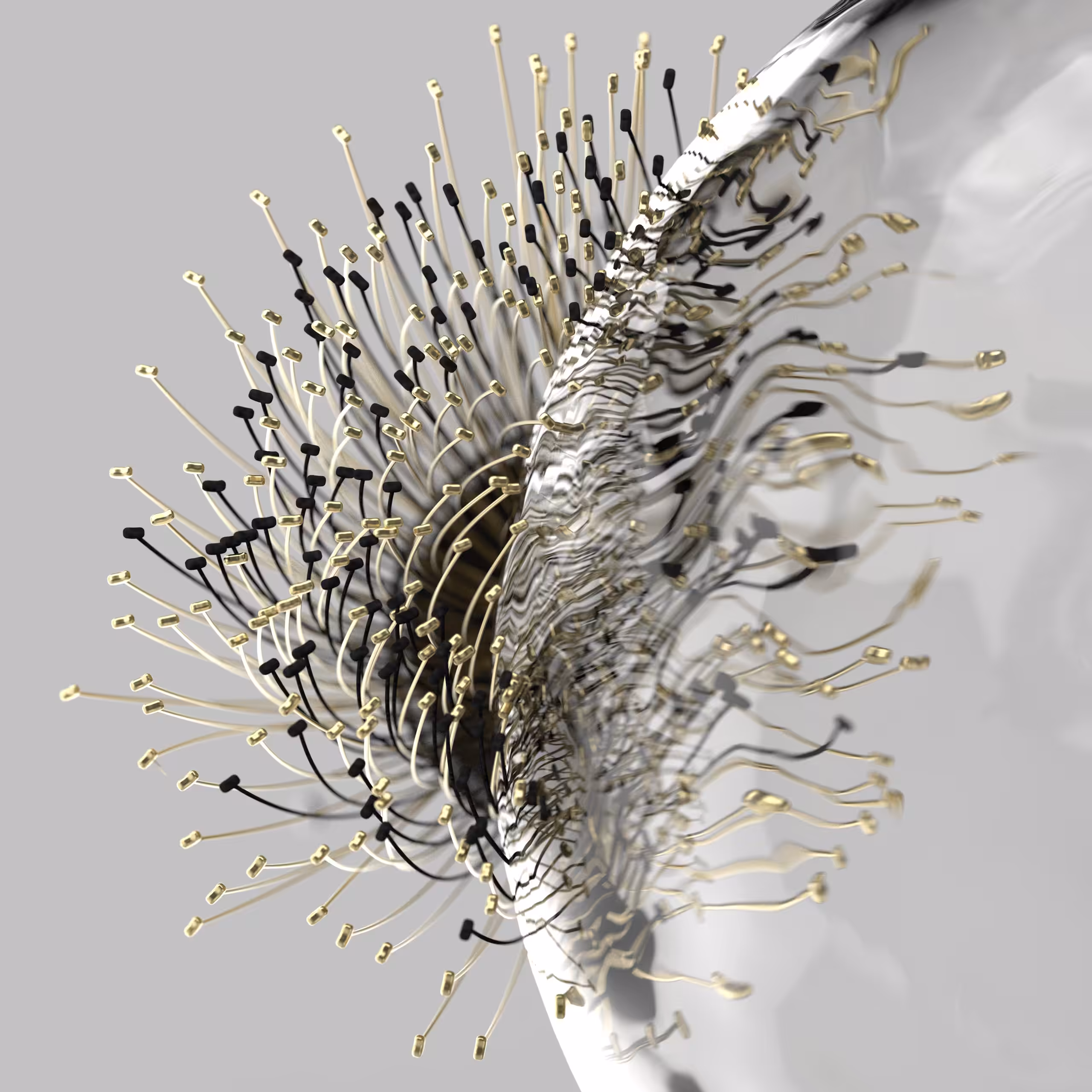Drop of Eucalyptus