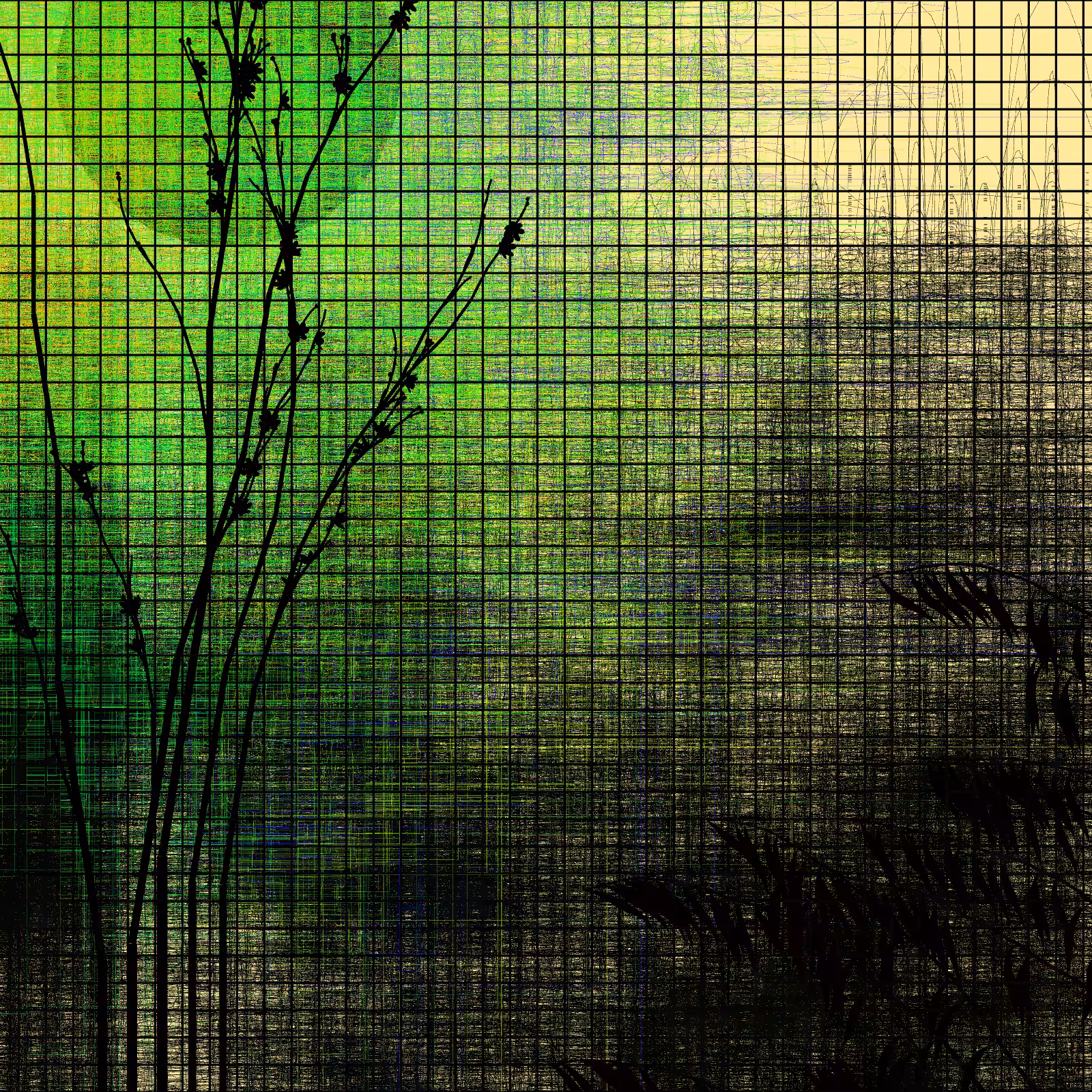 Deep forest #30