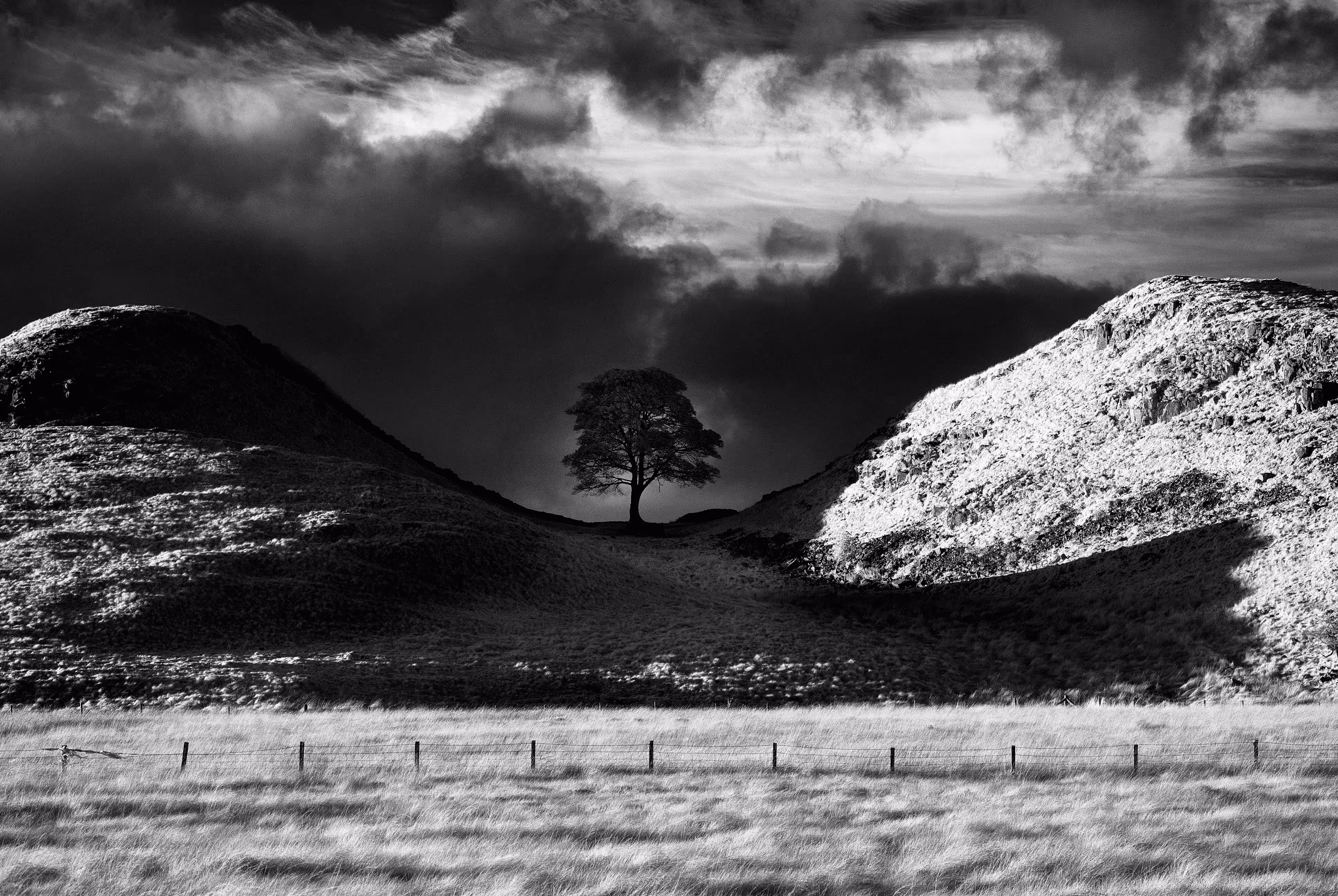 Invisible Light #16