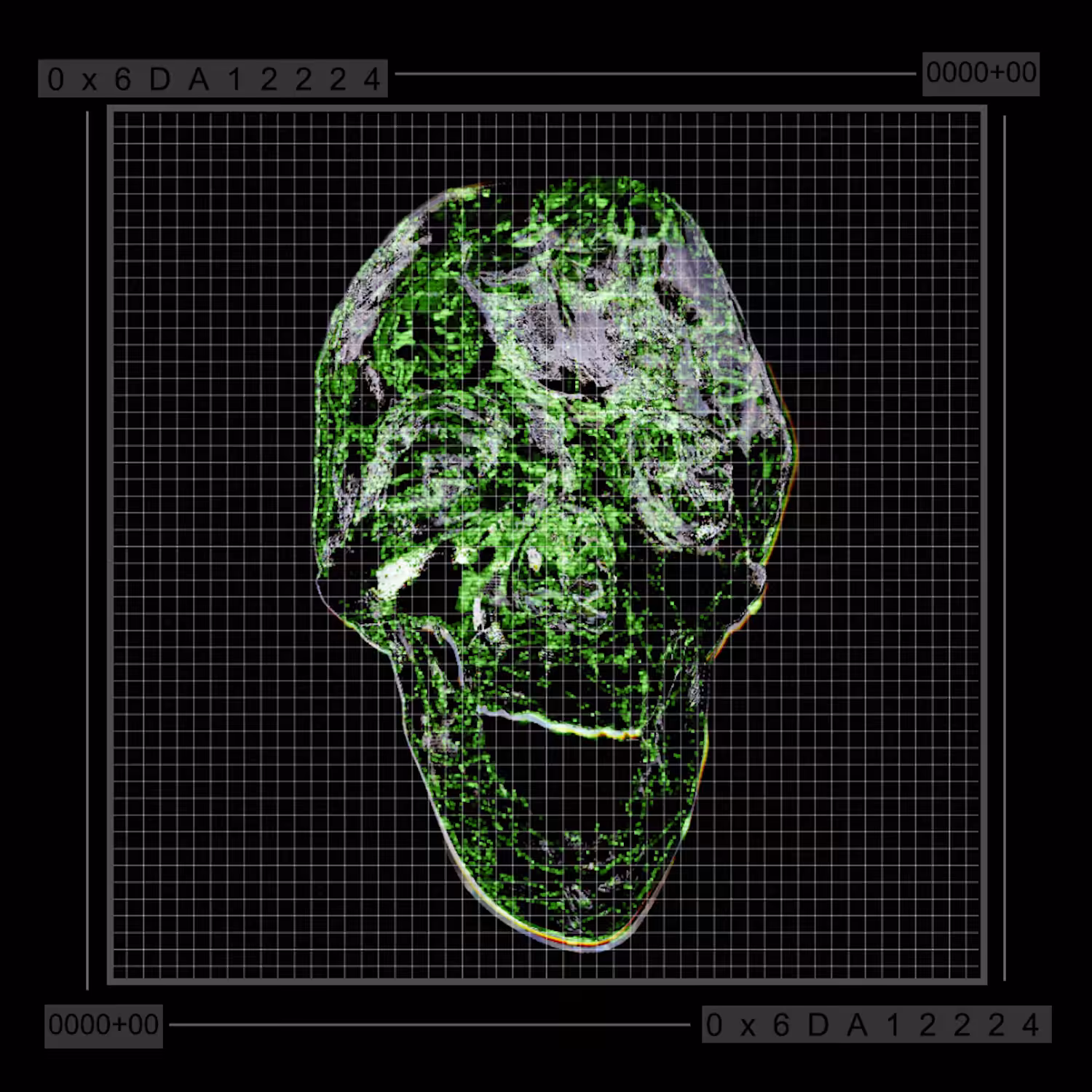 404SKULLS - 066