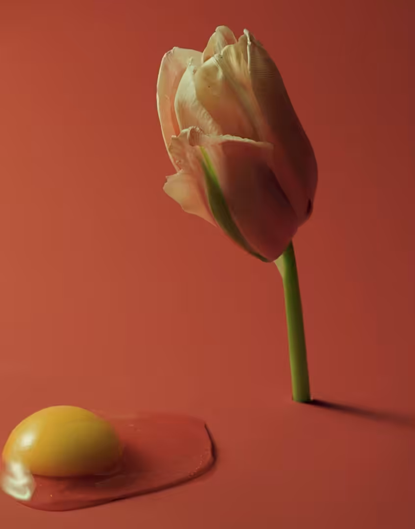 Mad Tulip