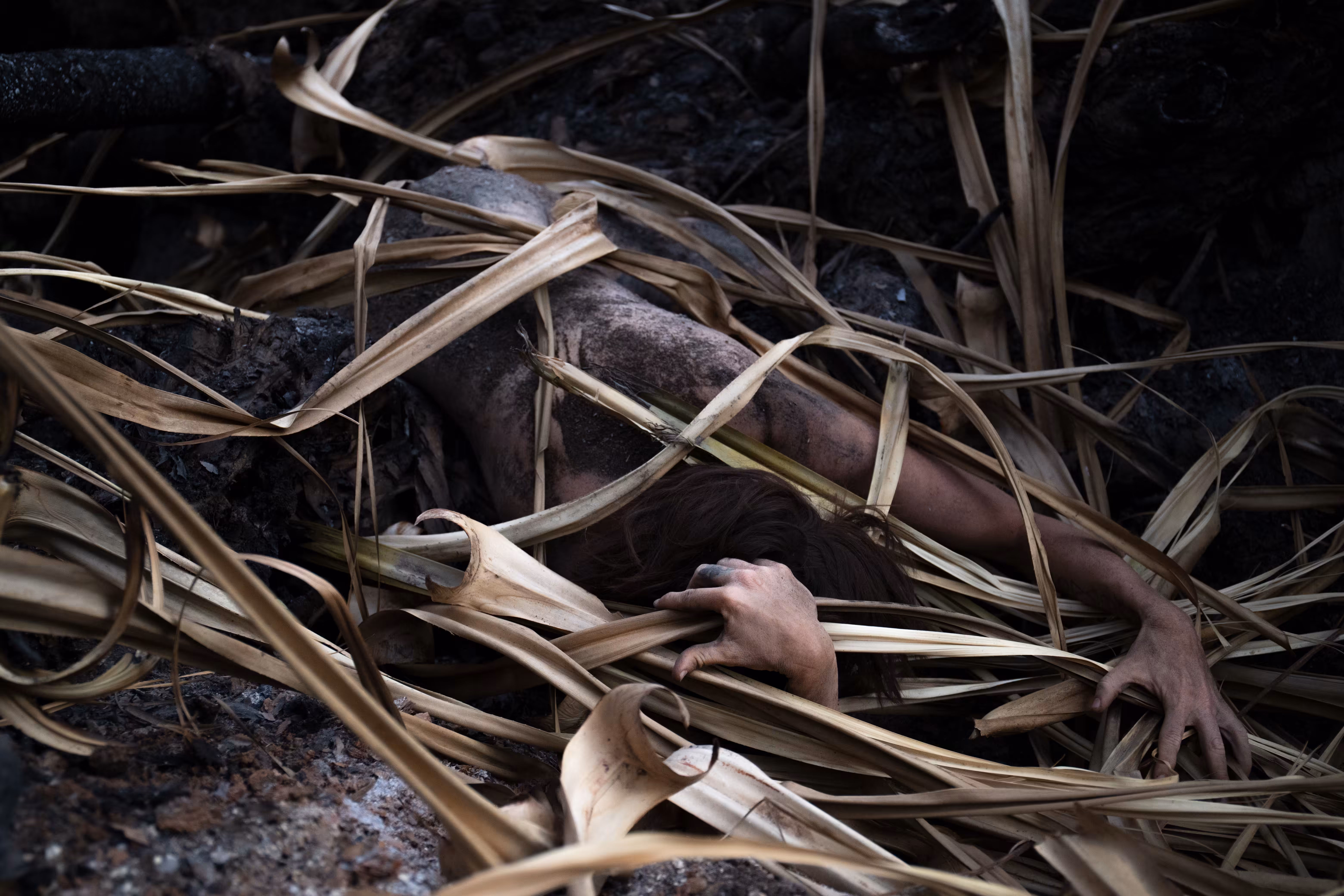 Spines and Ash