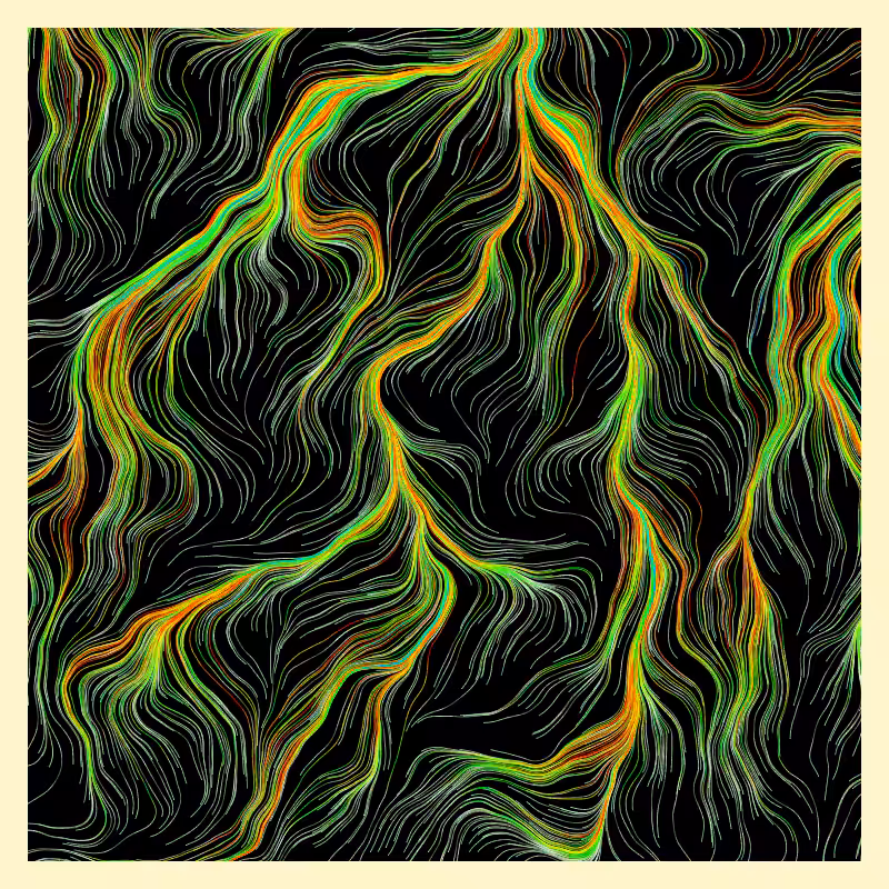 Roots #16