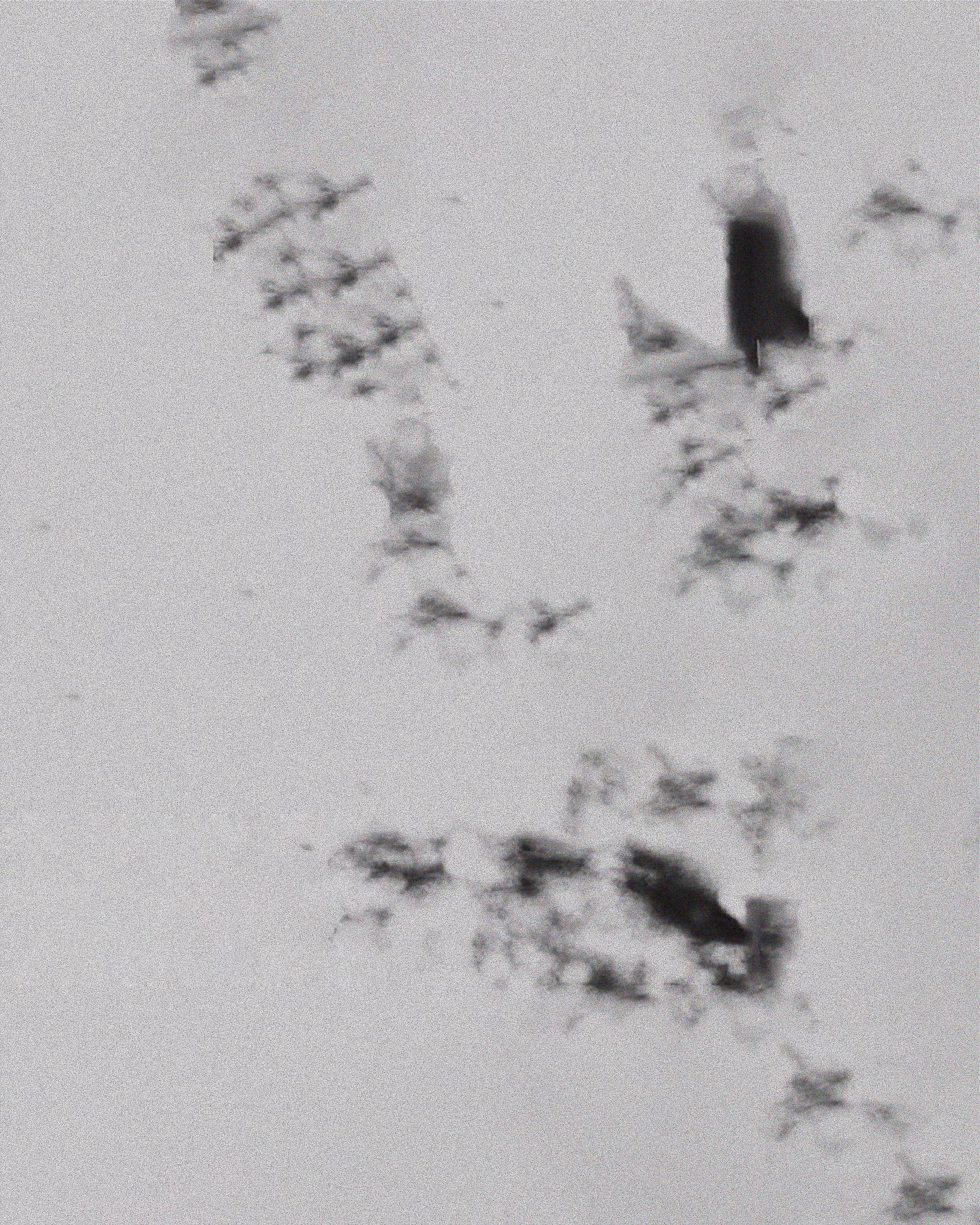 Footsteps 