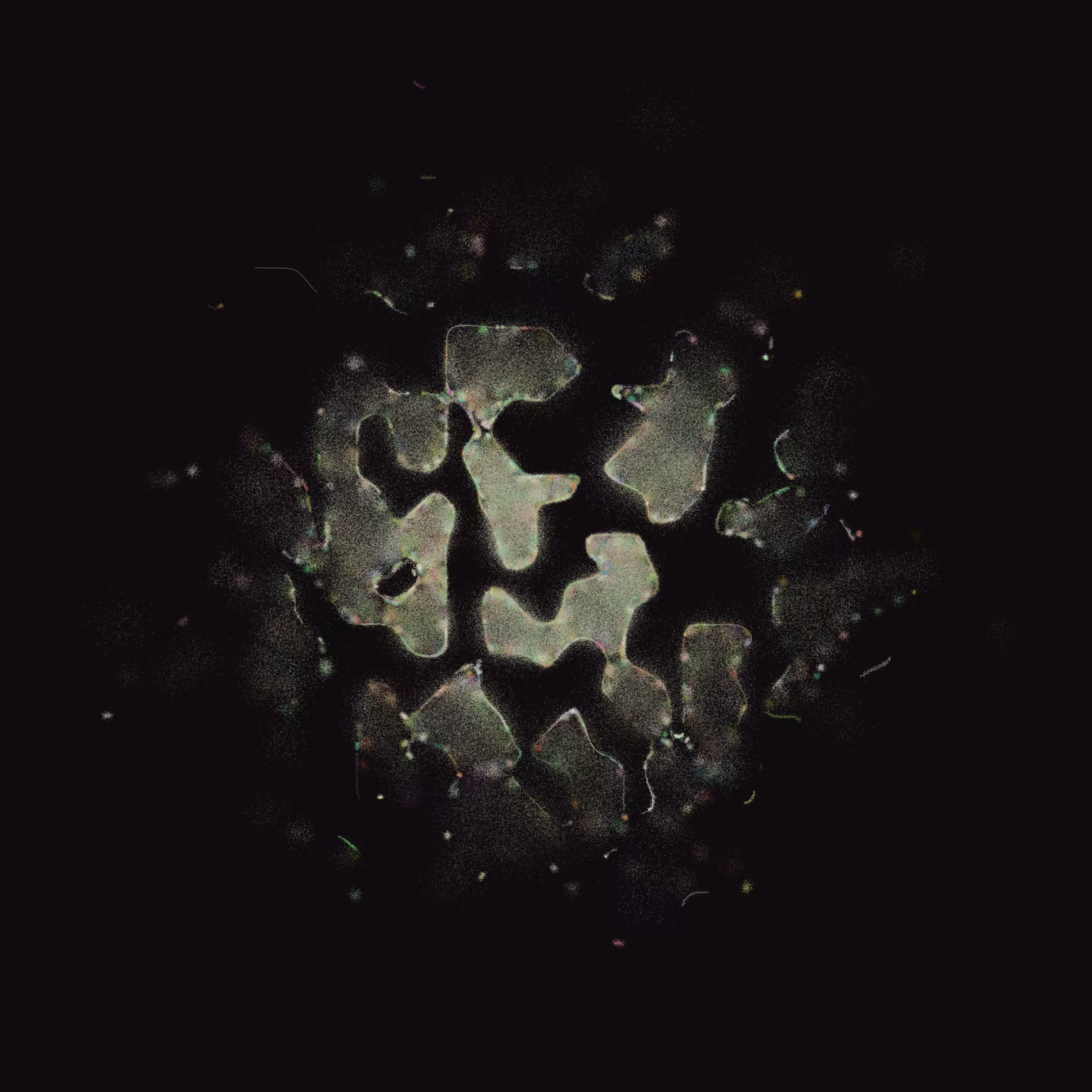Membrane #35