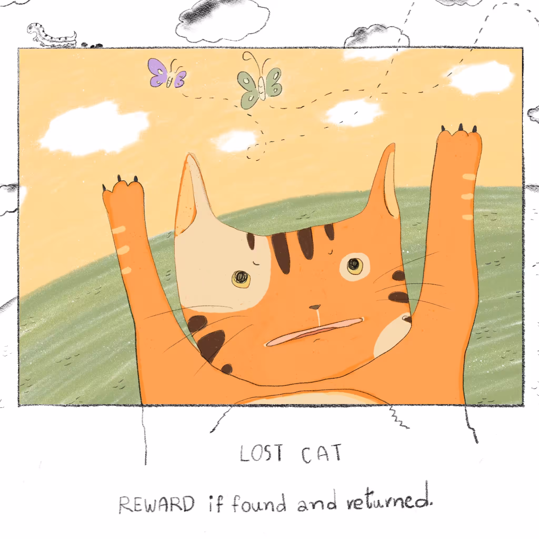 LOST CAT